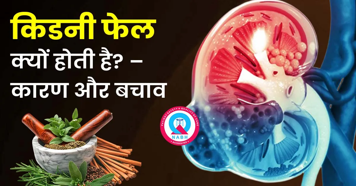 किडनी-फेल-क्यों-होती-है-कारण-और-बचाव